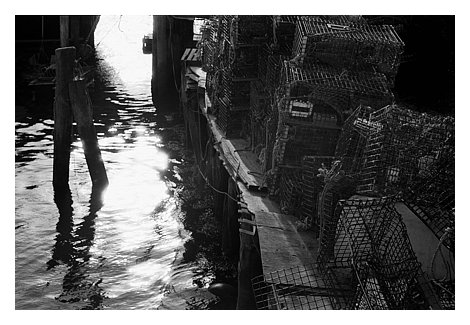 601908 lobstertraps.jpg