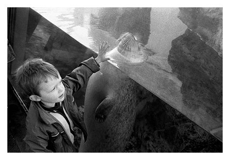 pj sealtank.jpg