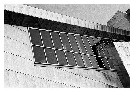 rooflineaquarium2.jpg