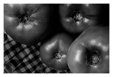 tomatoes print ready.jpg