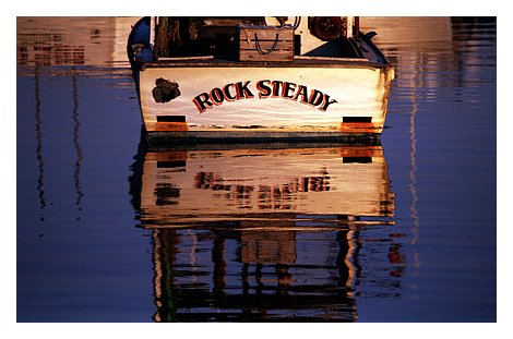 zrock steady print ready.jpg