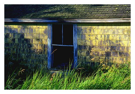 zweathered.jpg