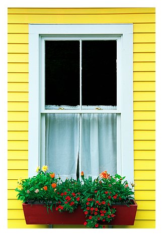 zwindowbox.jpg
