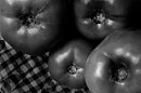 tomatoes print ready.jpg